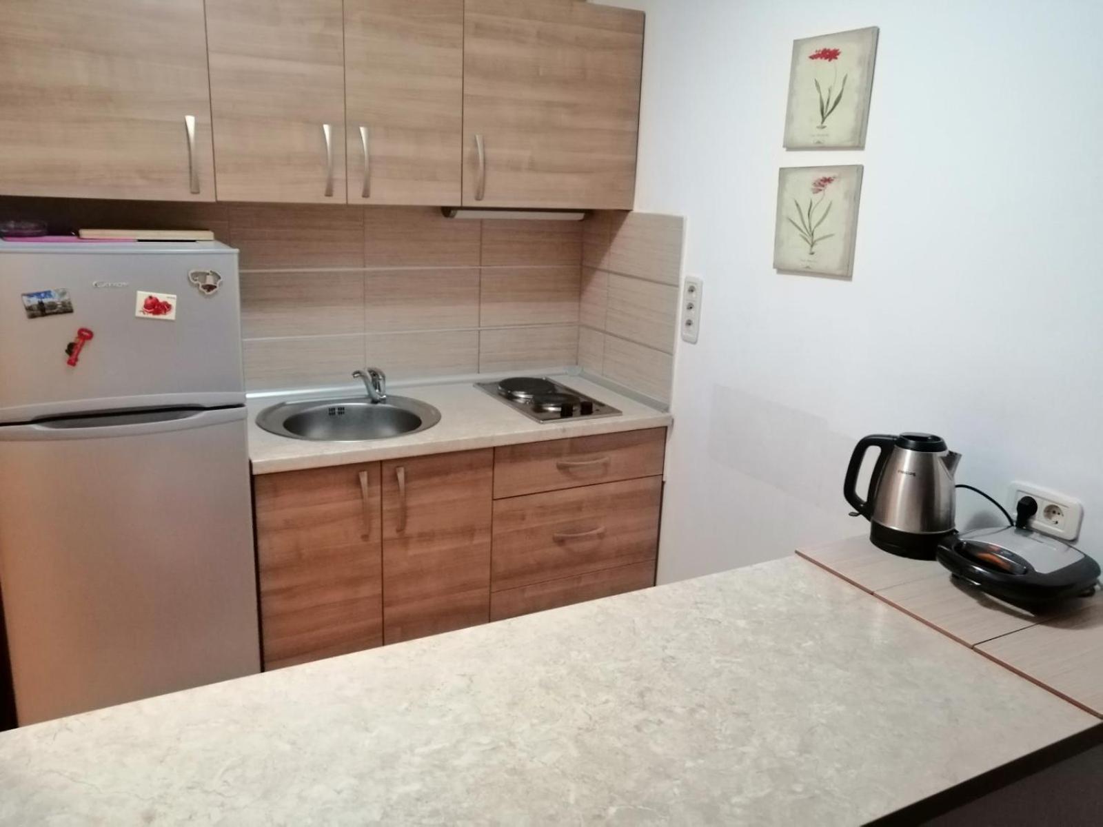 Apartment Golub Budva Dış mekan fotoğraf